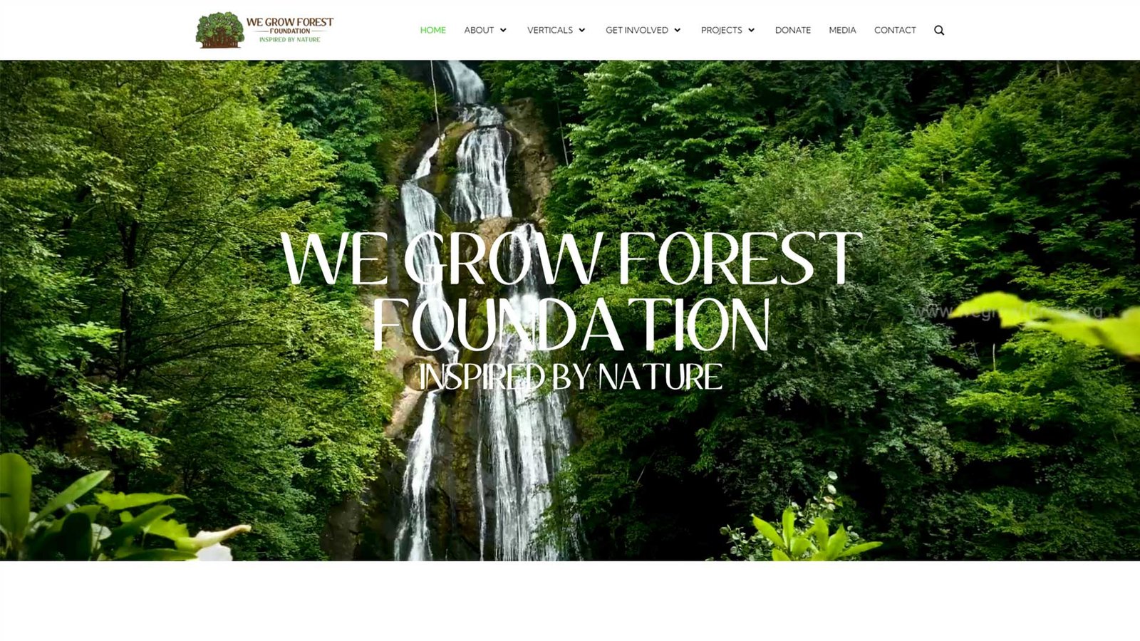 We Grow Forest Foundation